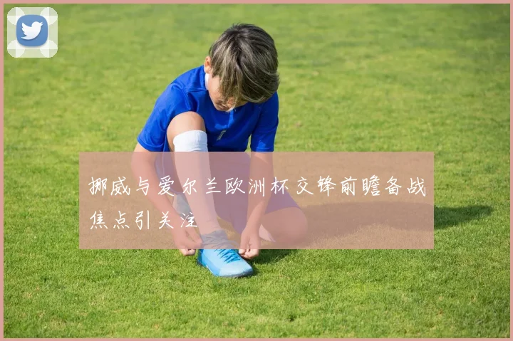 挪威与爱尔兰欧洲杯交锋前瞻备战焦点引关注