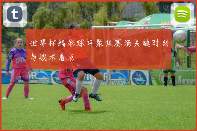 世界杯精彩球评聚焦赛场关键时刻与战术看点