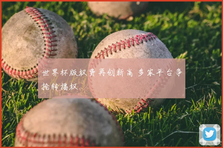 世界杯版权费再创新高 多家平台争抢转播权