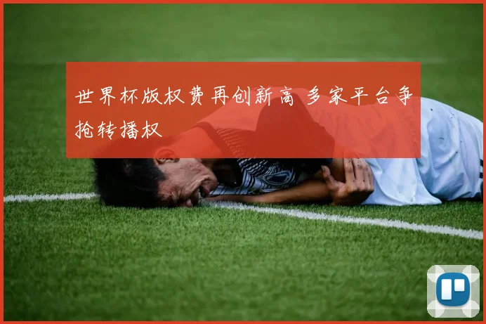世界杯版权费再创新高 多家平台争抢转播权