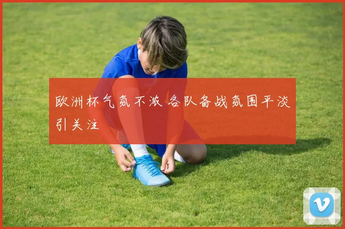 欧洲杯气氛不浓 各队备战氛围平淡引关注
