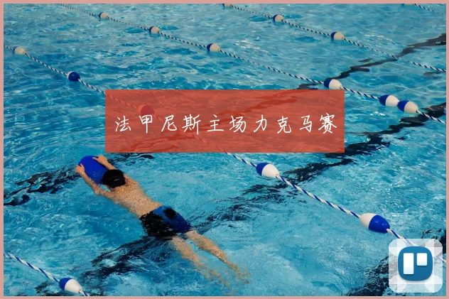 法甲尼斯主场力克马赛