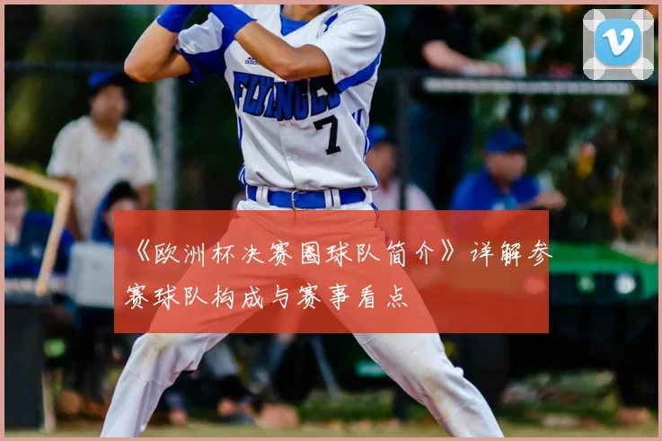 《欧洲杯决赛圈球队简介》详解参赛球队构成与赛事看点