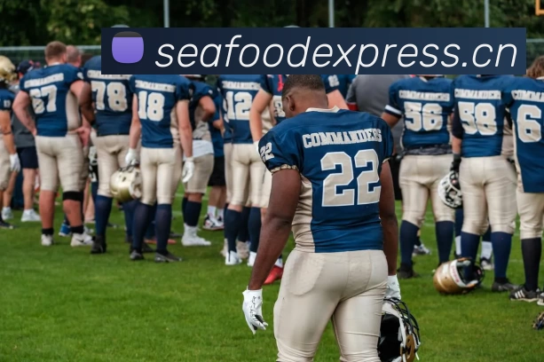 开云(中国)Kaiyun·官方网站 - 登录入口服务体系