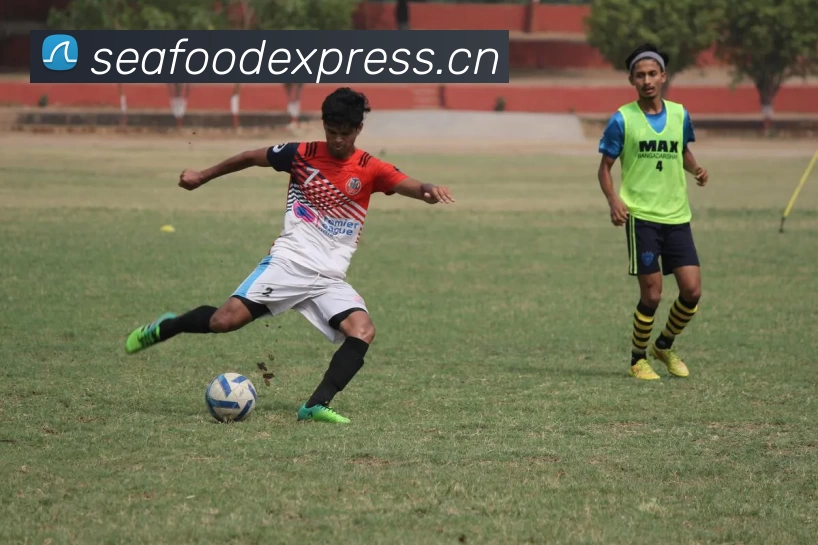 多媒体互动体验